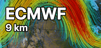 ECMWF